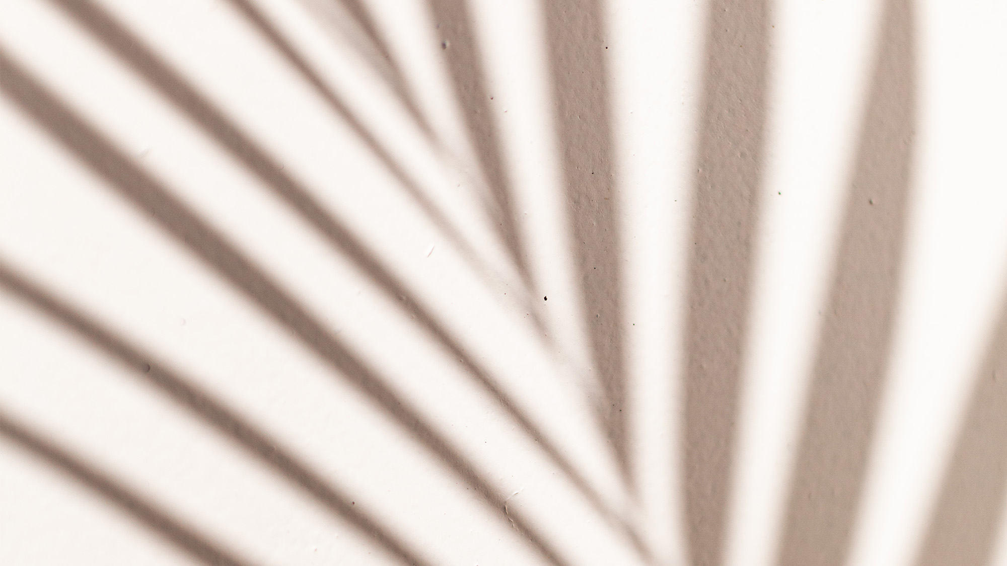 shesonfire-stockfoto-2000x1125-050